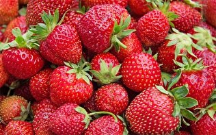 این میوه سلامت قلب را تضمین می‌کند