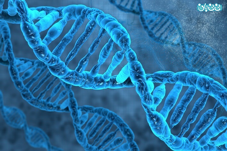 تست ژنتیکی پیش از لانه گزینی (PGD/PGT) چیست؟