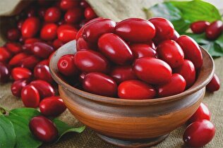 این میوه یبوست، اسهال و دیابت را درمان می کند