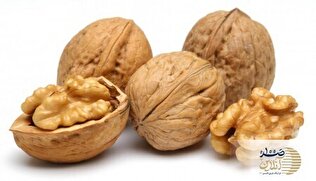 این مغز میوه رشد موی شما را 4 برابر می کند