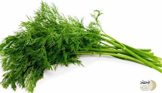 تا عید با این سبزی پادشاه 30 کیلو لاغر شوید