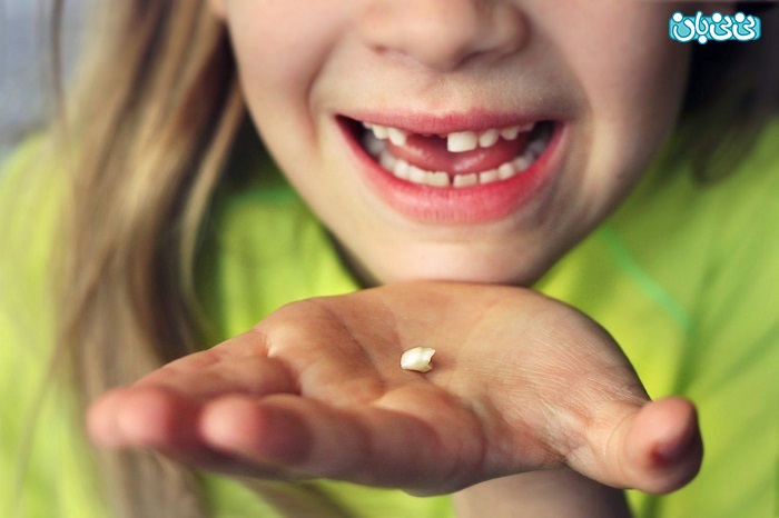 جدول زمانی درآمدن و افتادن دندان های کودک رویش دندان های دائمی