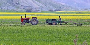 آغاز اولین رویداد ملی فناورانه در مسیر کشاورزی دانش‌بنیان