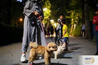 نگهداری این حیوان خانگی مرگ های مشکوک و ناعلاج در ایران را رواج داده است