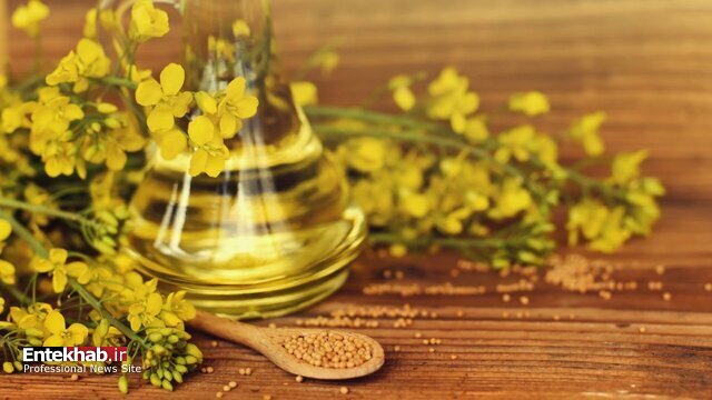 روغنی که احتمالا موجب بیماری آلزایمر میشود روغنی که احتمالا موجب بیماری آلزایمر میشود