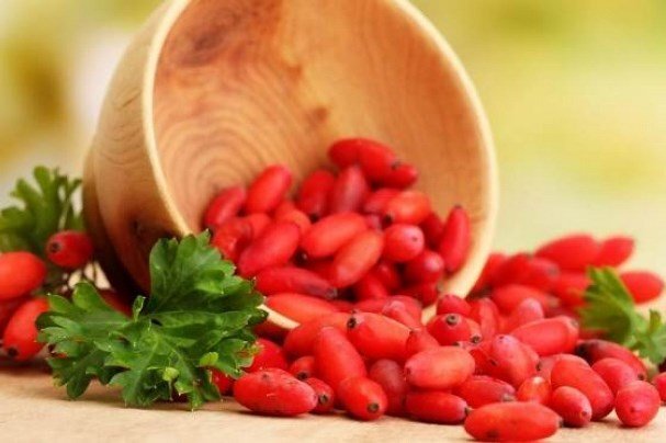 ترکیب طبیعی «بربرین» شدت علائم ام اس را کاهش می دهد