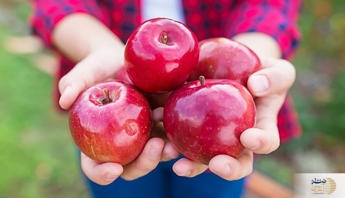 میوه ای که رمز 120 ساله شدن است + کنترل قند و فشار خون و محافظ ریتم قلب و لاغری همیشگی