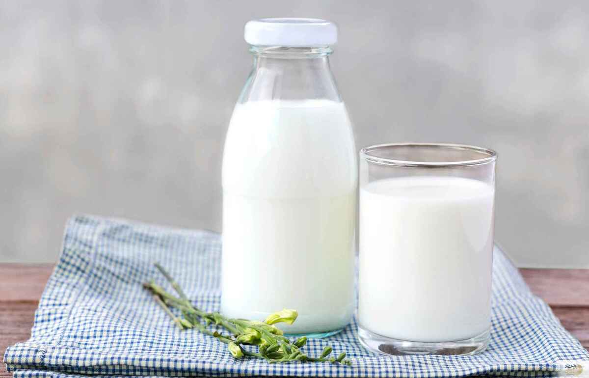 هشدار ! خوردن شیر موجب انباشت چربی در بدن می‌شود