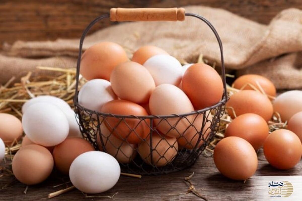 اگر پوست تخم مرغ را نشوییم چه می شود ؟