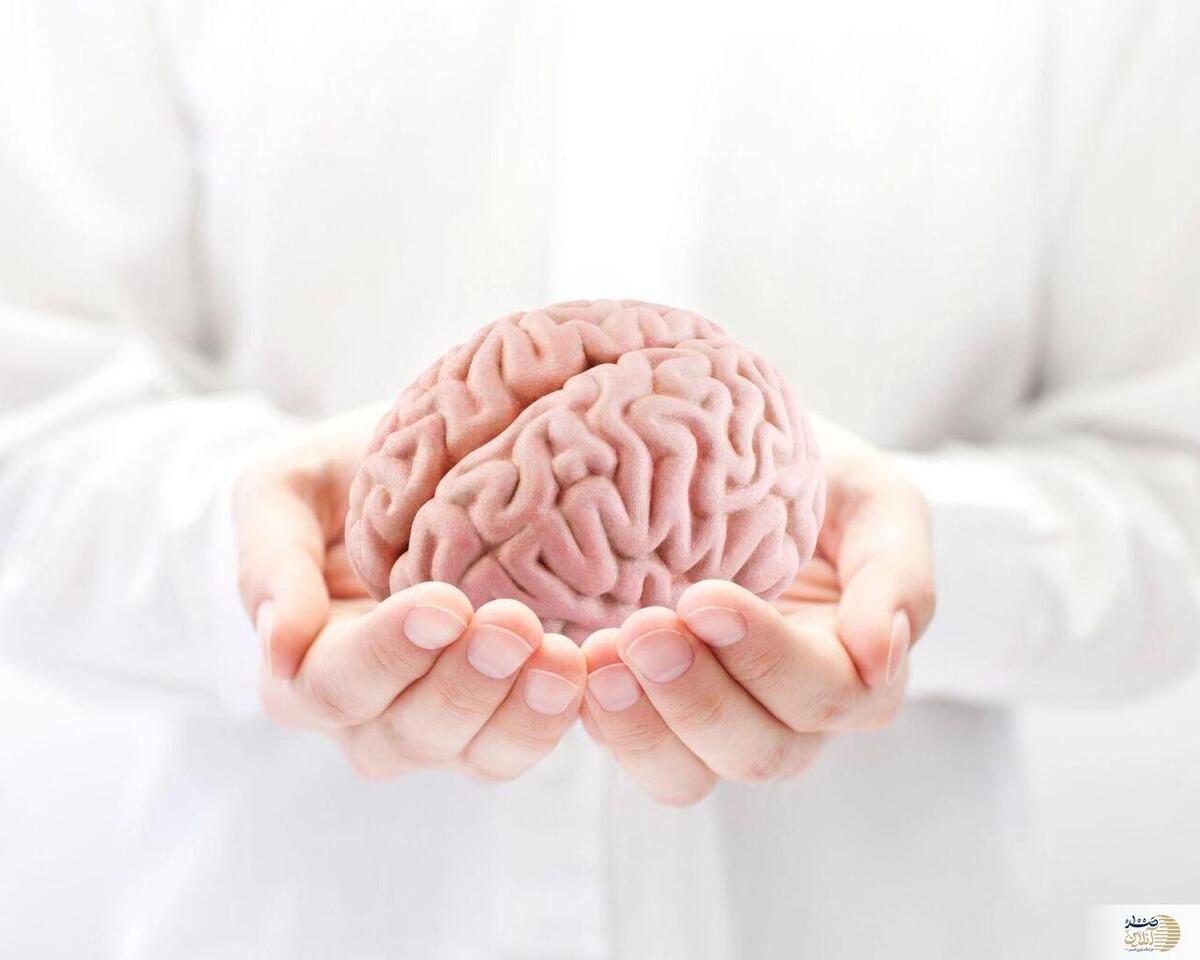 راهکار‌های طلایی برای مقابله با سکته مغزی را بشناسید