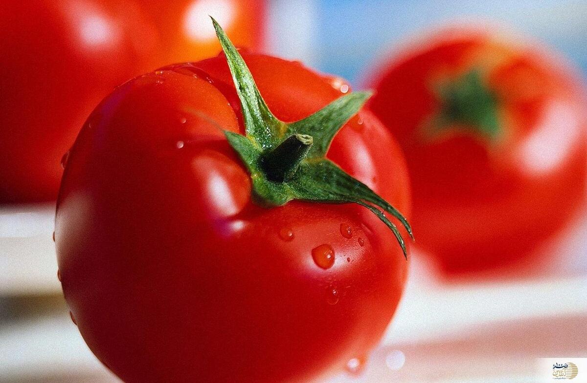 مهمترین ماده موثر گوجه فرنگی را بشناسید