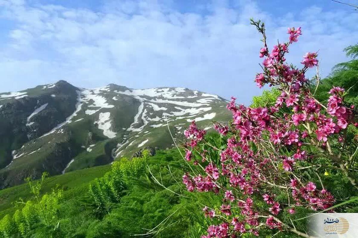 گردشگری در کوه چهل چشمه شهرستان دیوانداره