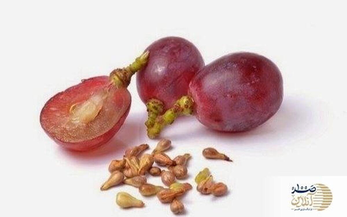 عصاره هسته  این میوه را هر روز باید بخورید / قاتل فشار خون