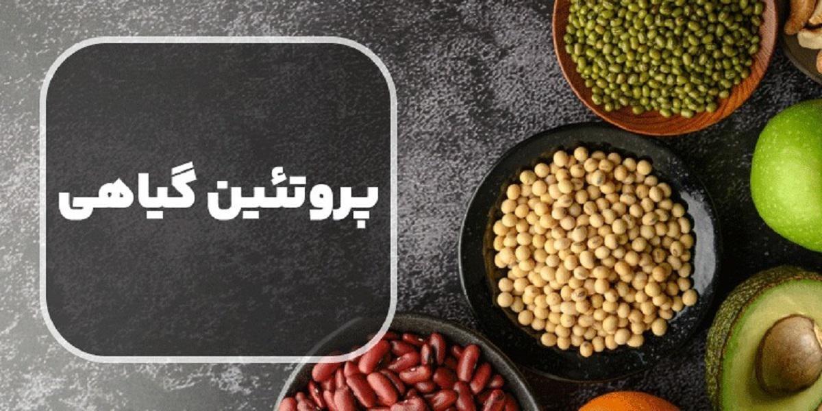 مقدار دقیق پروتئینی که باید بخورید (خبرفوری)