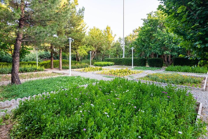 زندگی در نزدیکی فضاهای سبز موجب استحکام استخوان ها می شود