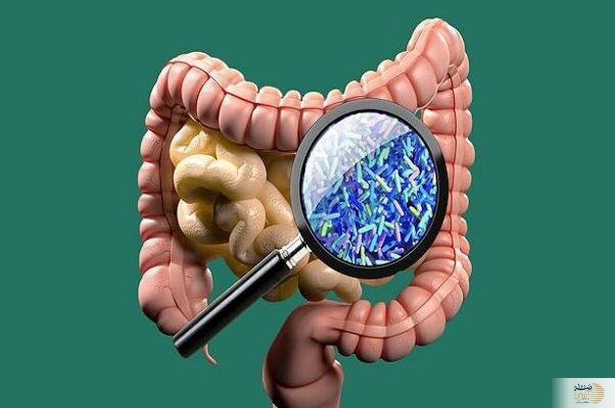 این آجیل در ناشتای صبح منبع خوبی از ویتامین B، اسید فولیک، منیزیم، روی و مس است/ 50 سال جوان تر می شوید / هر روز مصرف شود