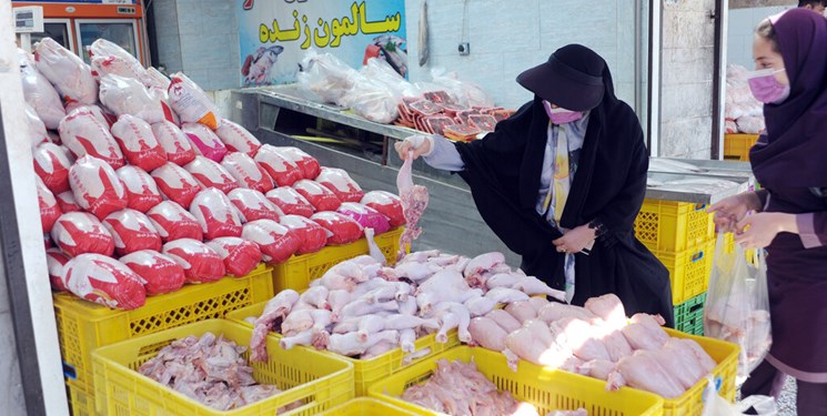 نرخگذاری سلیقهای در بازار مرغ و تخم مرغ/ برخی فروشندگان با قیمتهای مصوب نمیفروشند نرخگذاری سلیقهای در بازار مرغ و تخم مرغ/ برخی فروشندگان با قیمتهای مصوب نمیفروشند