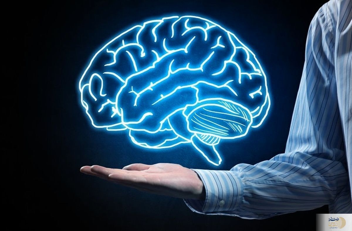 دلایل بروز آتروفی مغزی یا کوچک شدن مغز در سالمندان