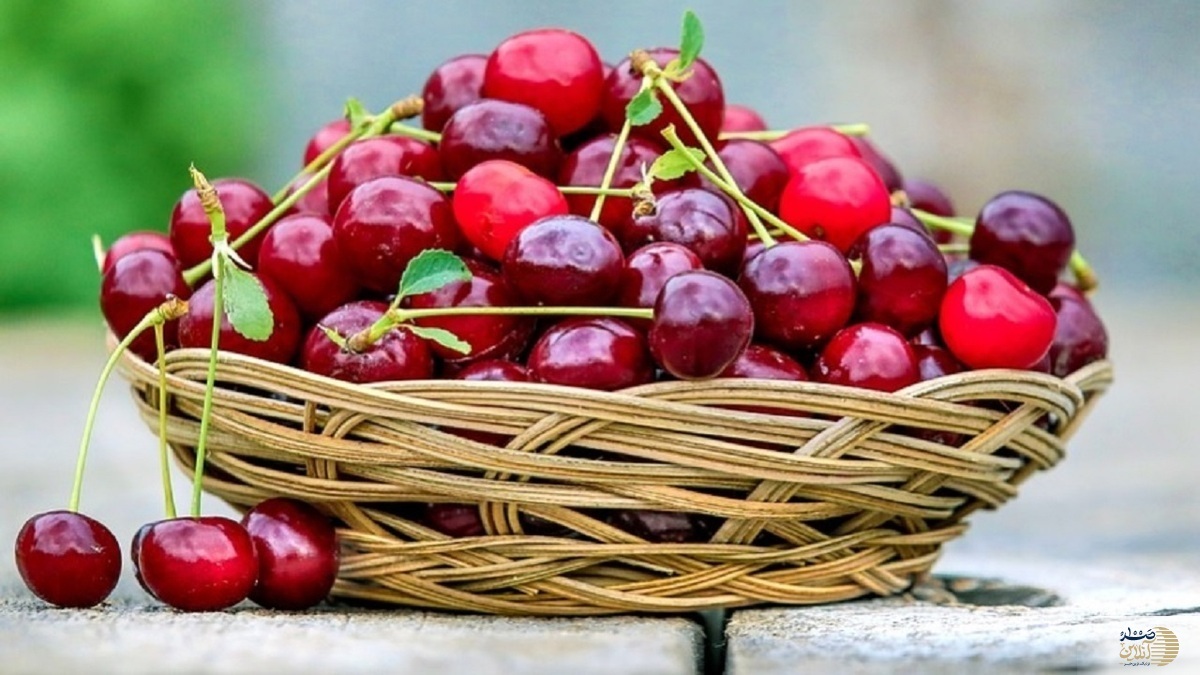 این میوه تابستانی را حتما شب ها بخورید