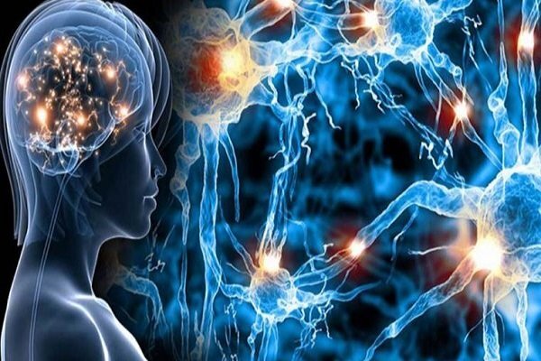 شواهد بیشتر از ارتباط یک ویروس معمولی با «ام‌اس»