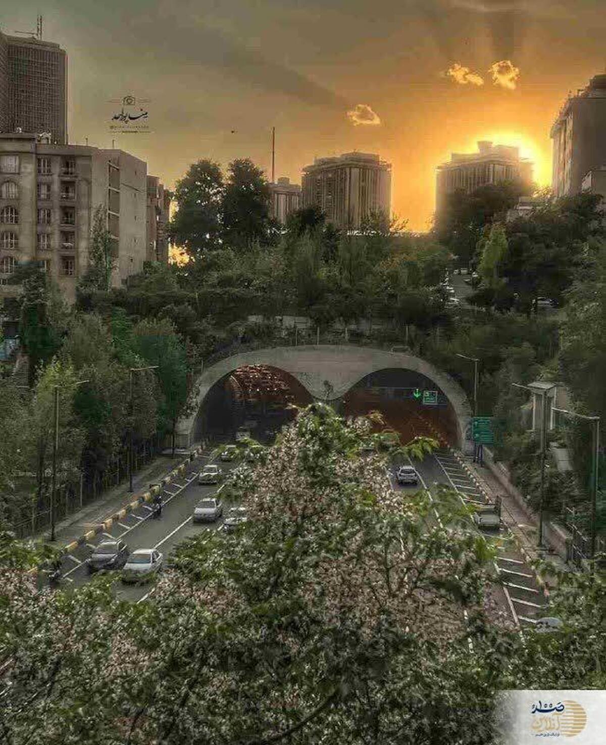 طبیعت گردی در قلب ترافیک تهران /بام تونل رسالت+عکس