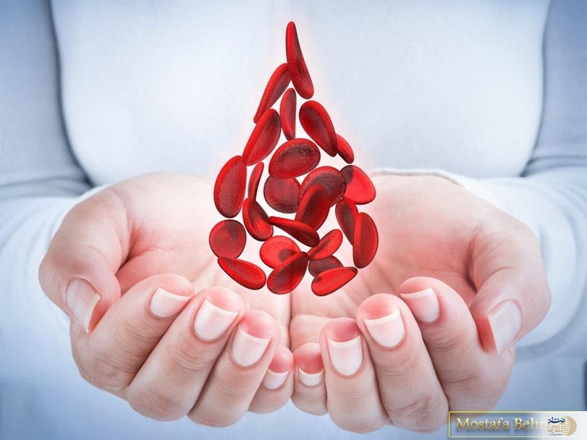 بیشترین گروه خونی مورد نیاز در کشور  | این خون‌های اهدایی صادر نمی‌شوند