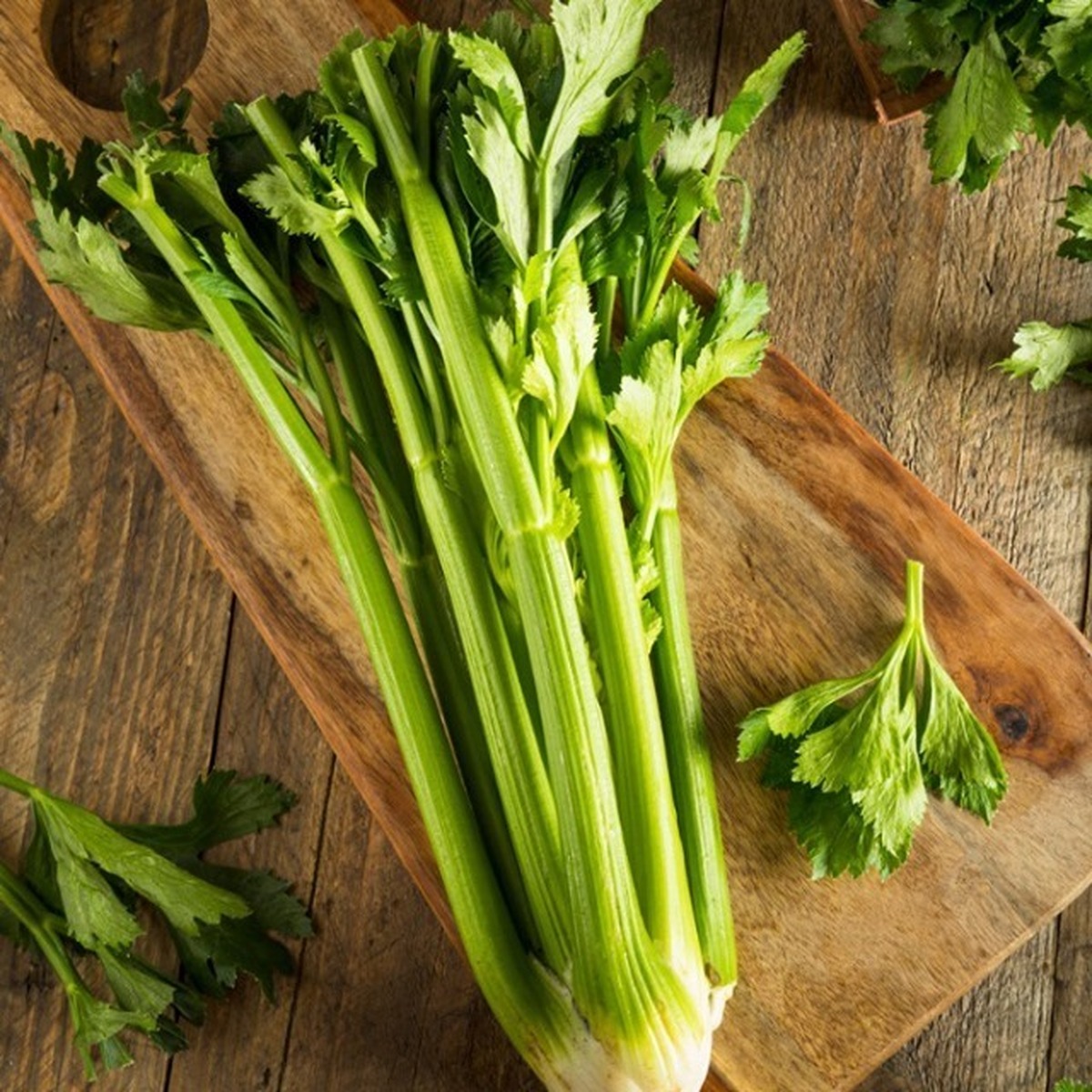 این سبزی سرشار از ویتامین‌های C و فولات محافظ قلب شما