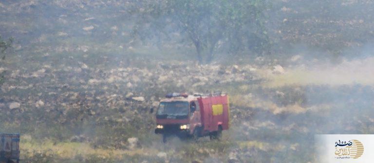 جنگل های کلاغ نشین گچساران در شعله های آتش می سوزد/ شرایط برای مهار شعله های آتش سخت است + تصاویر