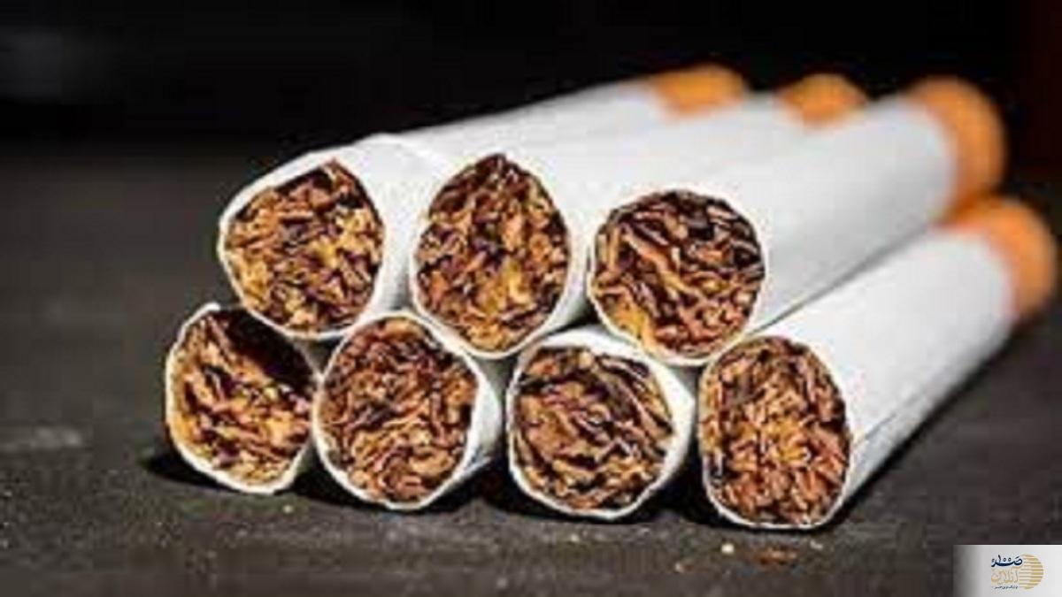 دخانیات عامل ۳۰ درصد سرطان‌ها در ایران