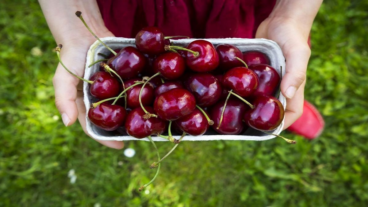 این میوه سرشار از آنتی‌اکسیدان محافظ از پوست است و با کم خونی مقابله می کند