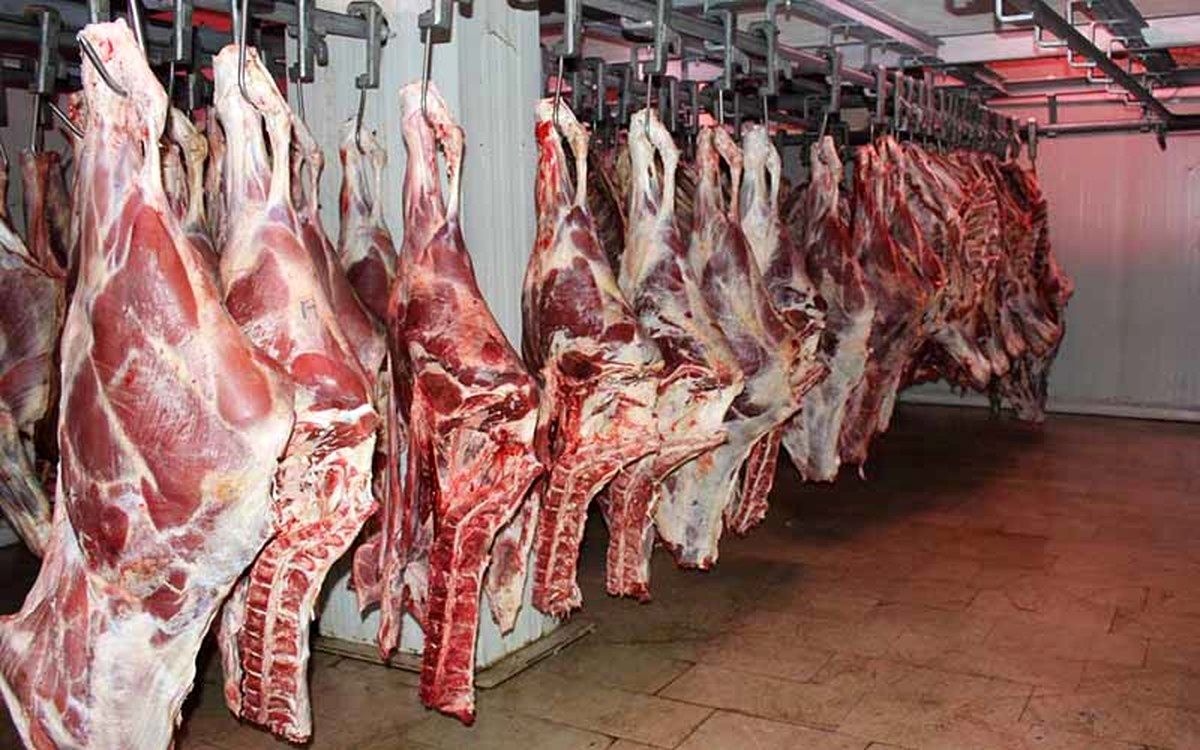 ۲۰۰ تن گوشت پس از یک‌سال معطلی در گمرک ترخیص شد + جزئیات