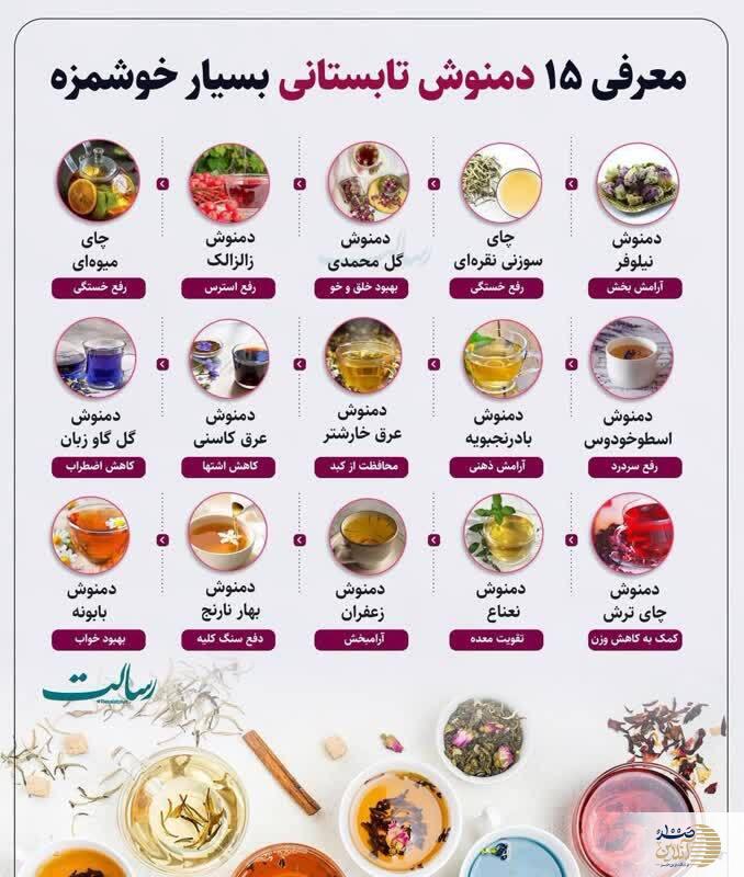 15 دمنوش عالی برای گذراندن ساده و بدون دردسر تابستان در 500 سال اخیر