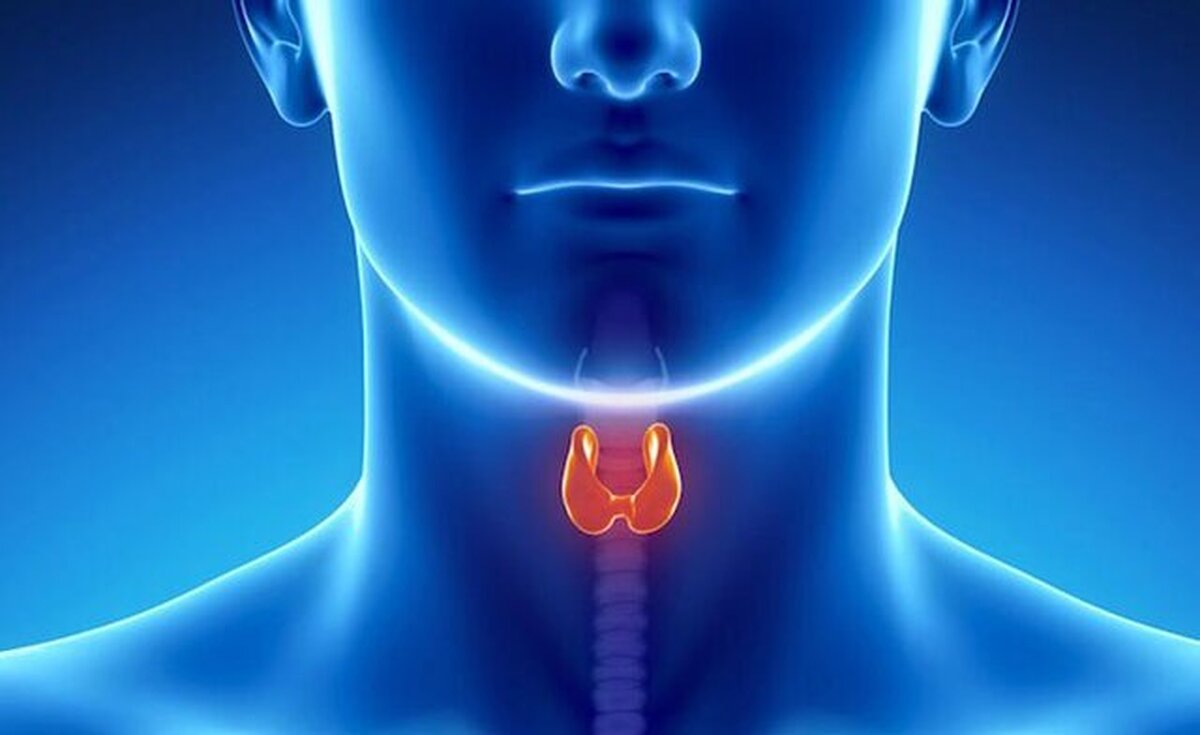 ۷ عادت خطرناک که سلامت تیروئید را به خطر می اندازد