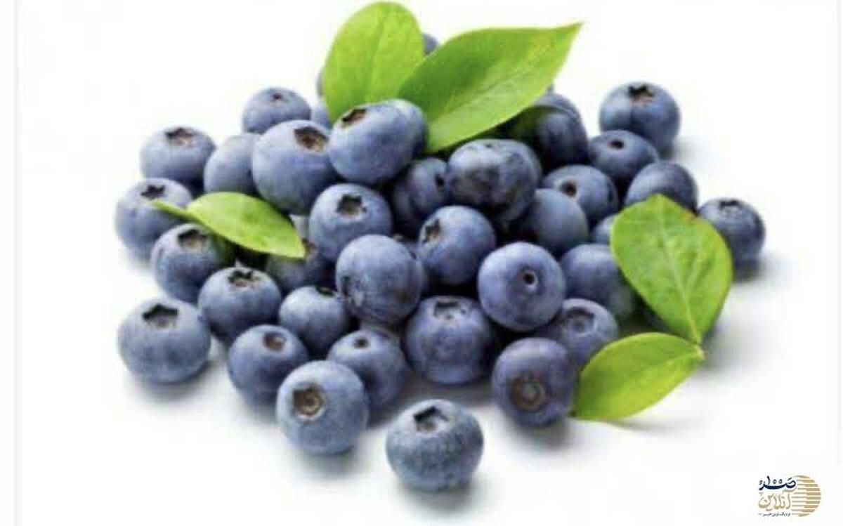 این میوه های آبی کوچک 50 برابر همه داروهای شیمیایی پایین آورنده چربی و فشار خون و کنترل وزن است