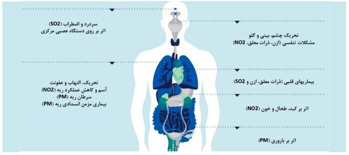 آلودگی هوا چه تبعاتی برای انسان و جامعه دارد؟