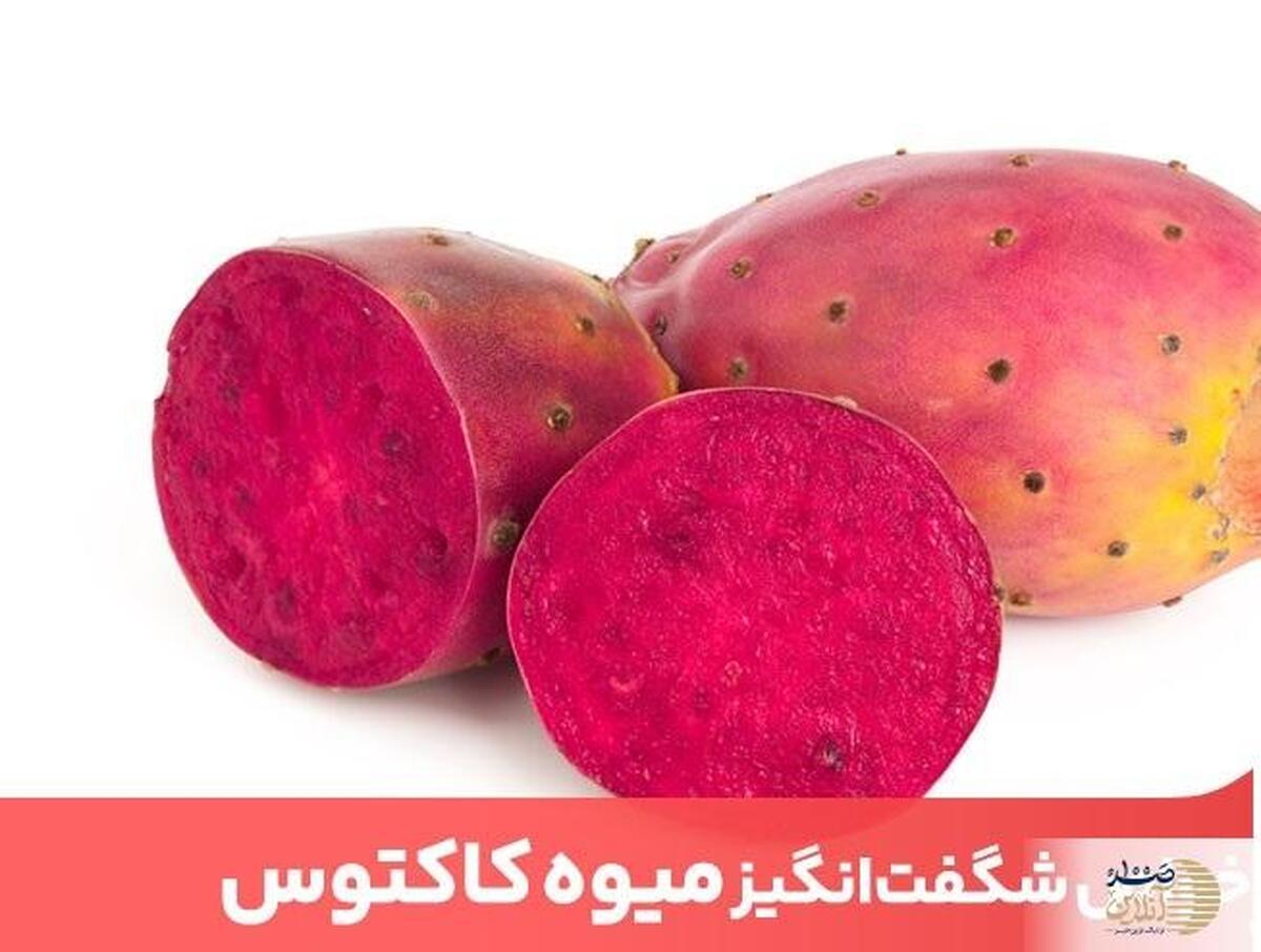 توانایی هیپوگلیسمی این میوه فقط می‌تواند سطح بالای گلوکز خون را کاهش داده و درمانگر اول بیماری قند خون باشد