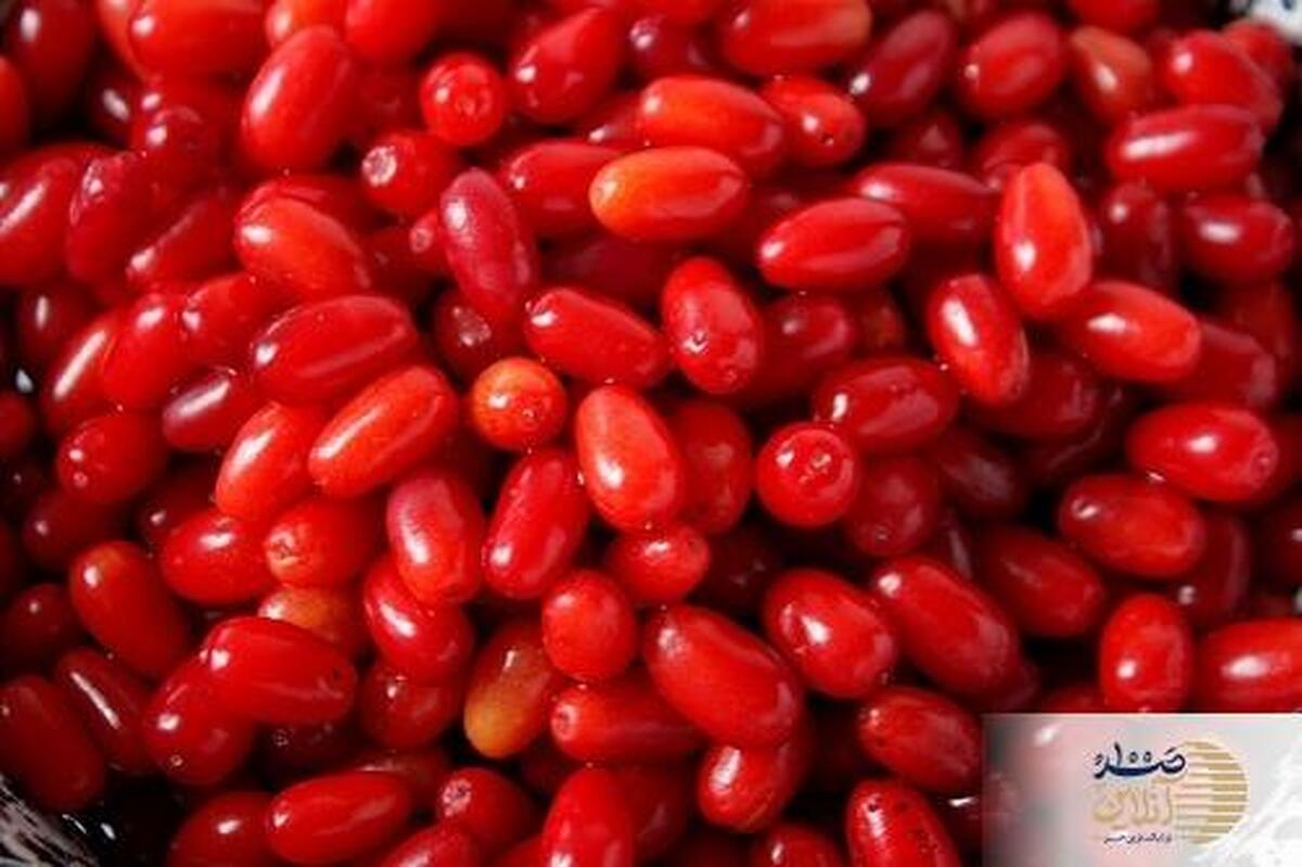 گران ترین داروهای خارجی برای عفونت مجاری ادراری و سنگ کلیه و کلسترول بالا از این میوه ایرانی تولید می شود