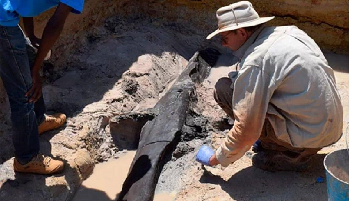 کشف قدیمی‌ترین سازه چوبی ساخته شده به دست انسان در زامبیا