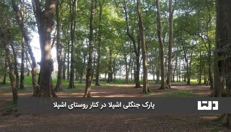 پارک جنگلی اشپلا