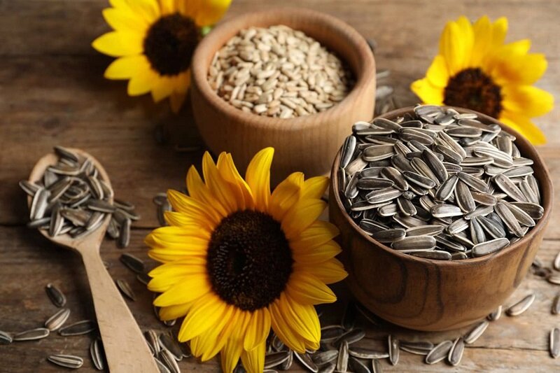 ۸ ماده غذایی سرشار از ویتامین E ؛ غنی ترین منبع ویتامین E کدام ماده غذایی است؟ | درباره خواص ویتامین محافظ سلامت بیشتر بدانید