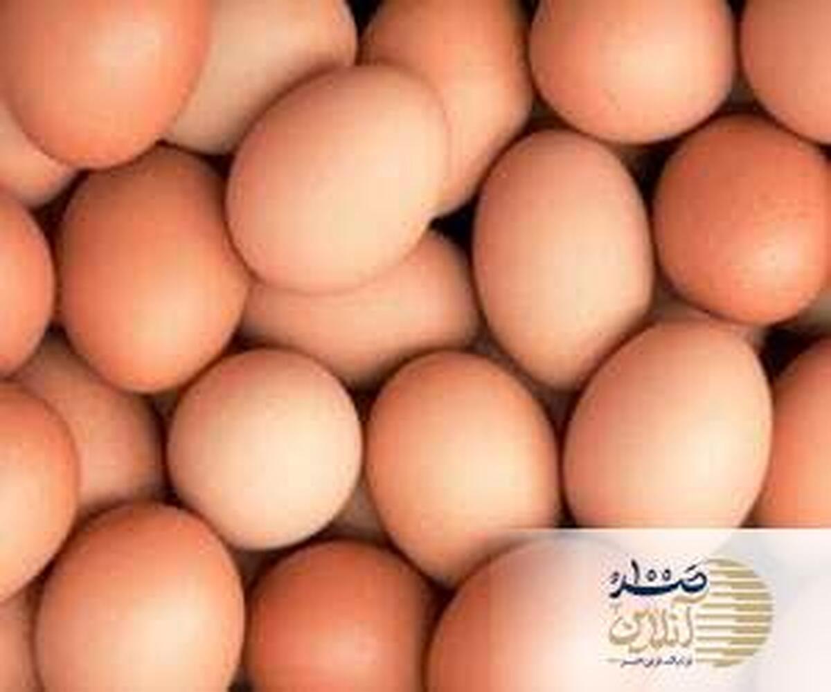 تخم مرغ دوست دارید ؟ این مطلب را بخوانید