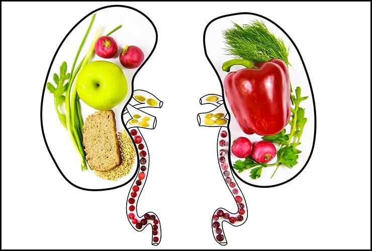 ۱۰ ماده غذایی برای دوری از بیماری‌های کلیوی