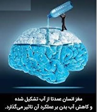 مغز انسان عمدتا از آب تشکیل شده و کاهش آب بدن بر عملکرد آن تاثیر می گذارد.