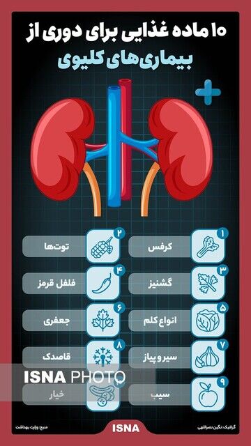 اینفوگرافیک/ ۱۰ ماده غذایی برای دوری از بیماری‌های کلیوی