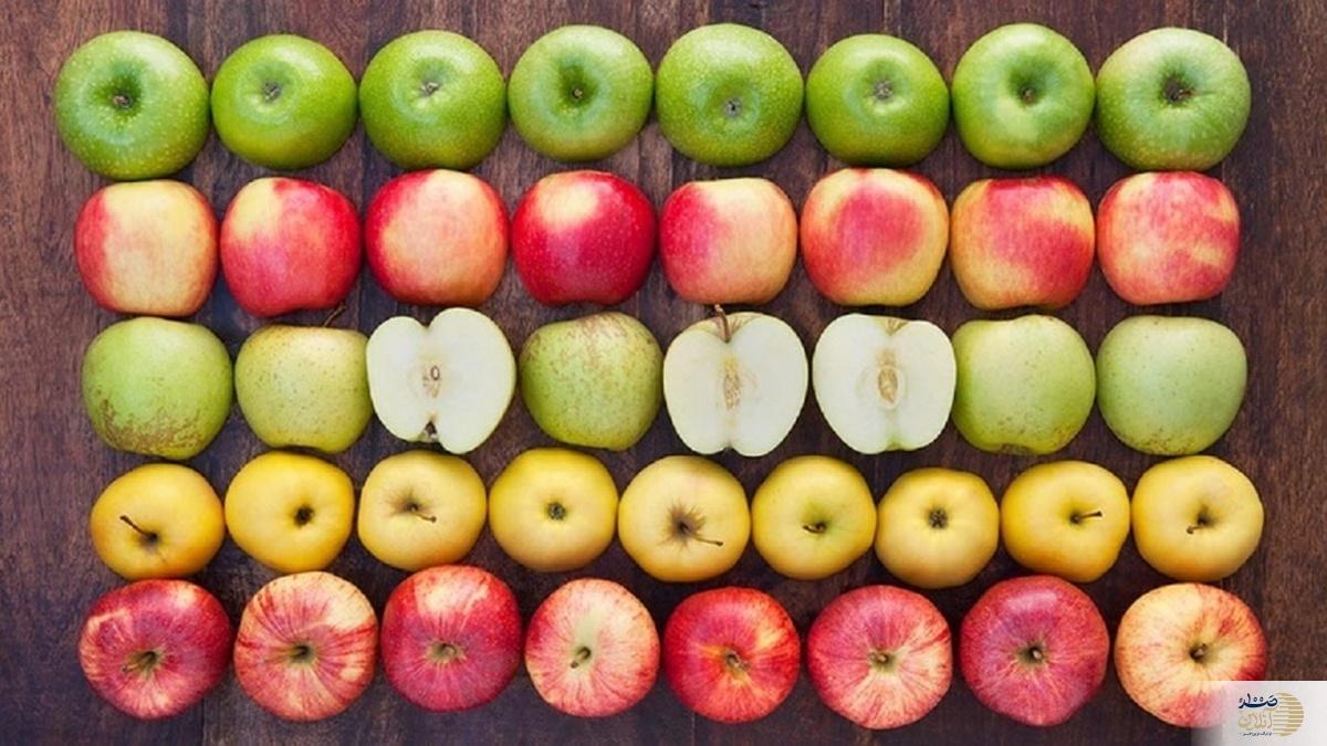 تفاوت و کاربردهای عجیب سیب زرد / قرمز / سیب گلاب و ترش / انتشار برای اولین بار