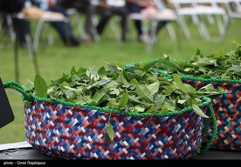 بهداشت و درمان , تغذیه سالم ,