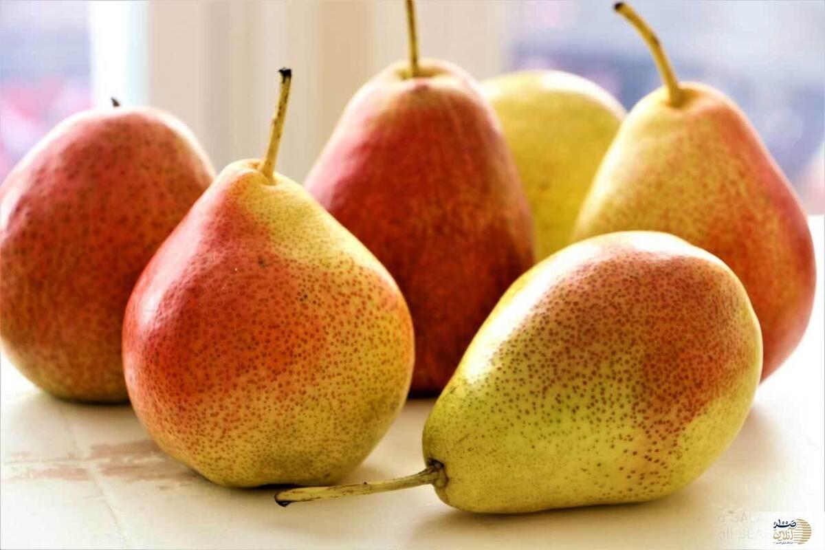 حفظ سلامت روده ، کاهش ریسک ابتلا به دیابت نوع دو و حفظ سلامت قلب با این میوه شیرین