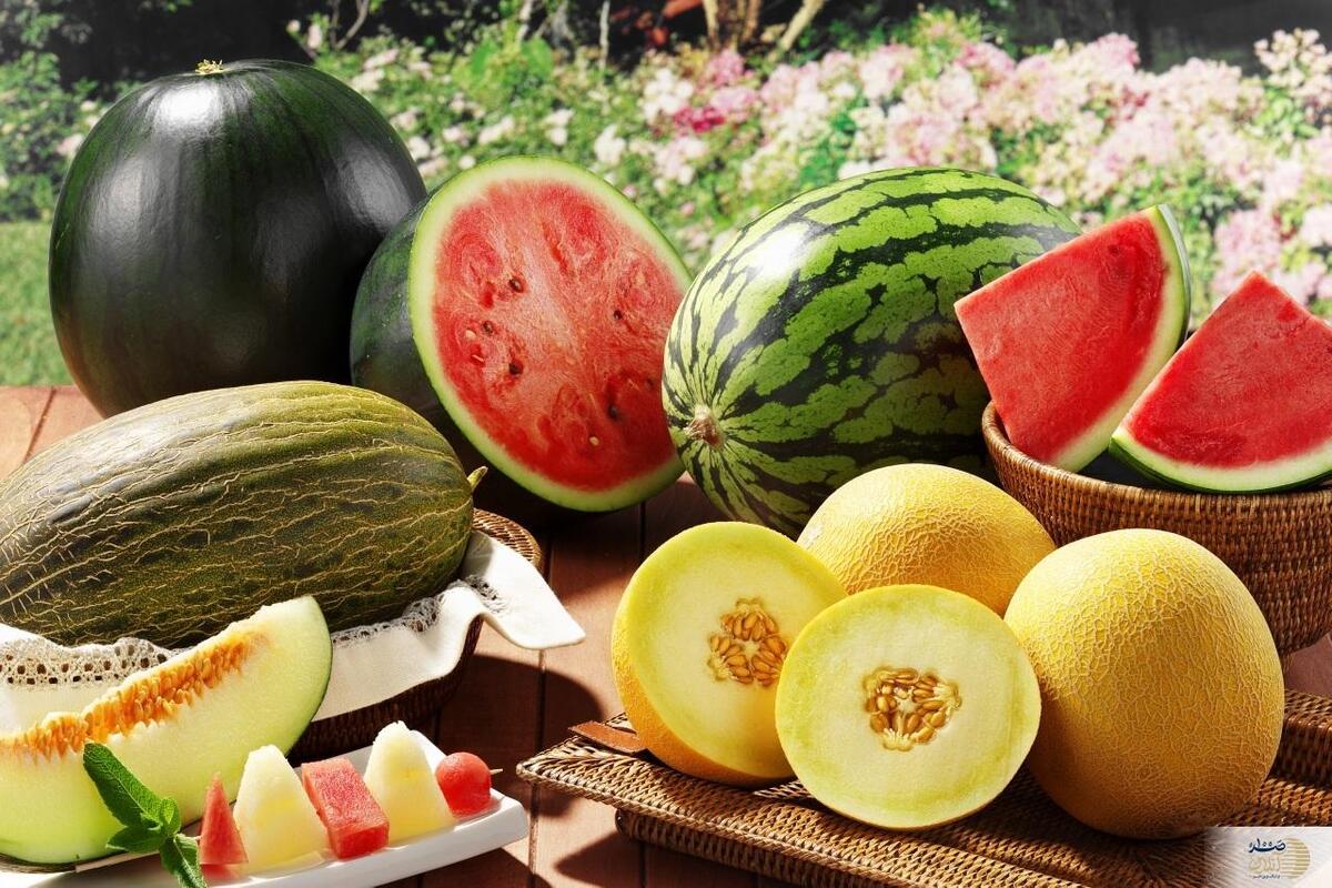 بهترین روش تامین آب بدن با میوه