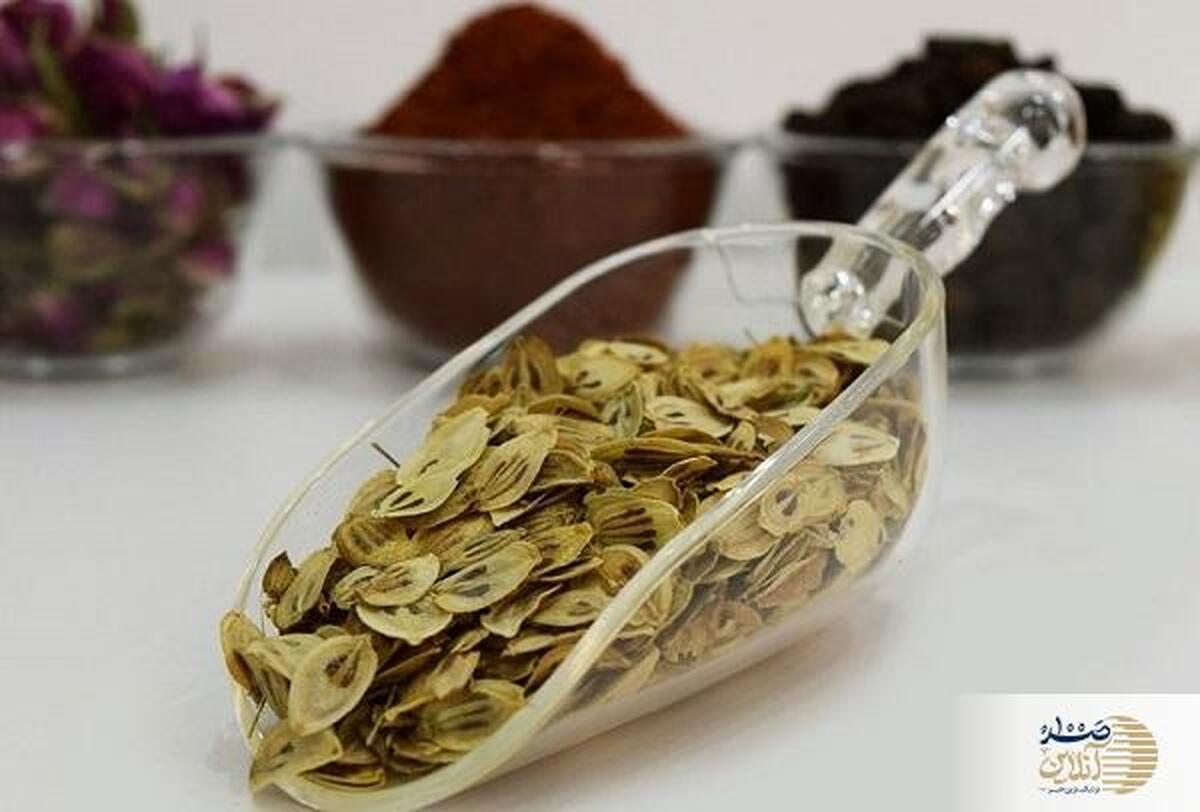 این گیاه خاصیت ضد دیابتی ، ضد درد و درمان تشنج است
