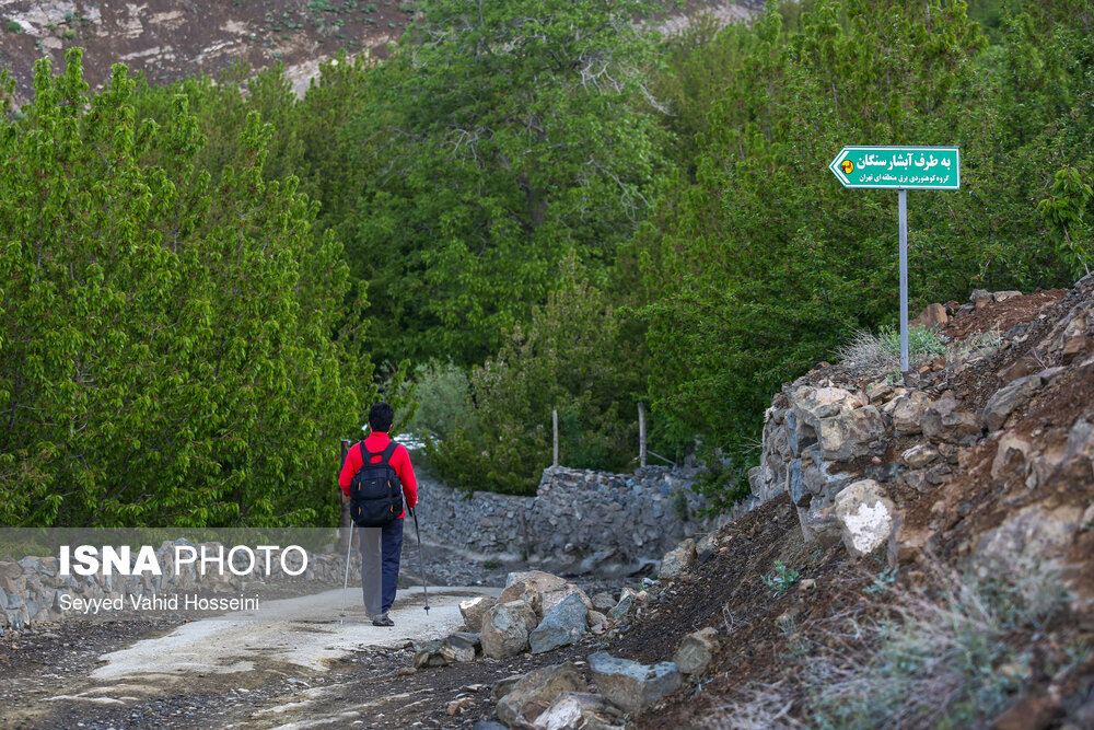 یک آبشار؛ بیخ گوش تهران